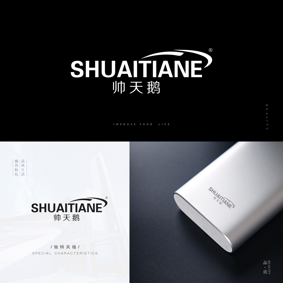 帅天鹅 SHUAITIANE