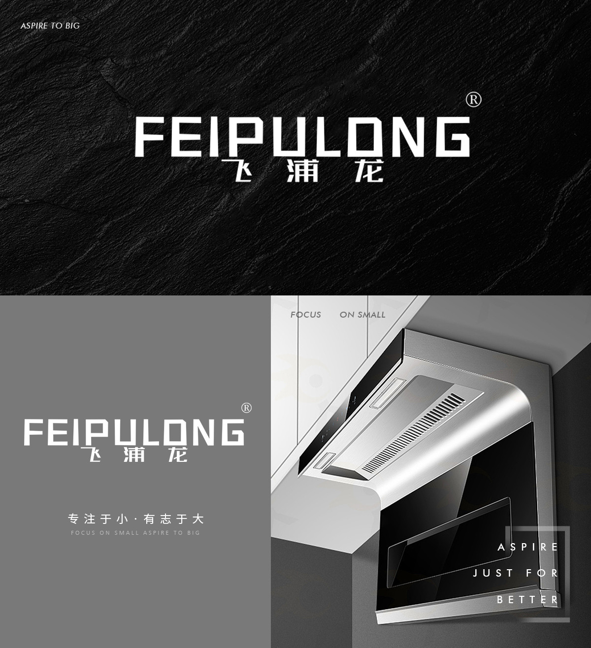 飞浦龙 FEIPULONG