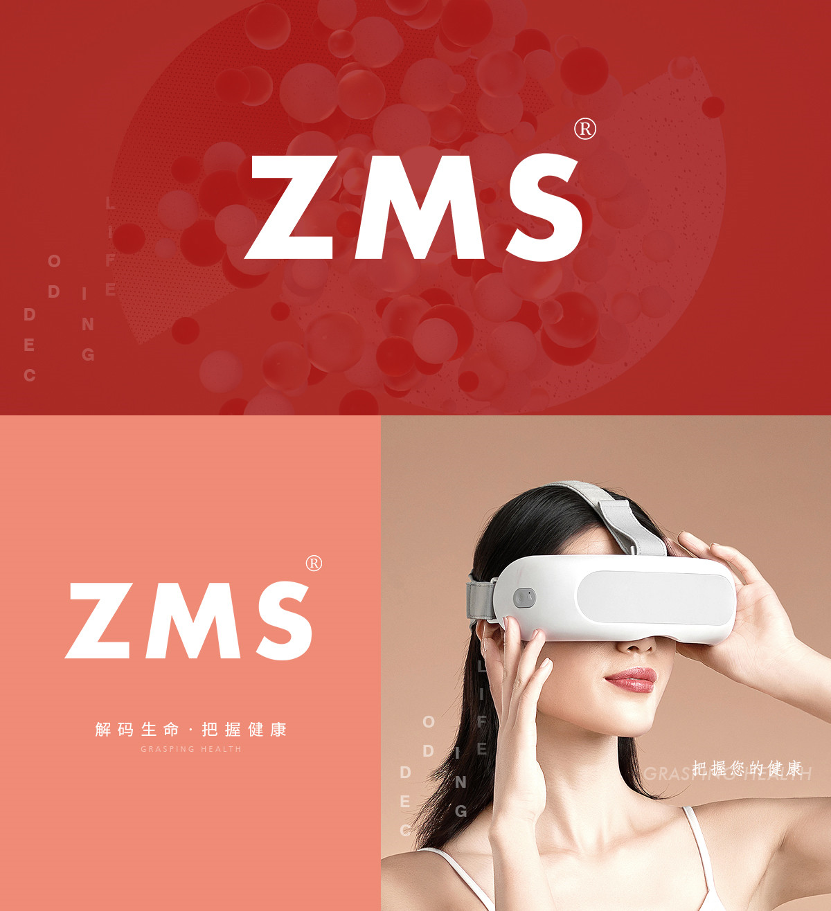 ZMS