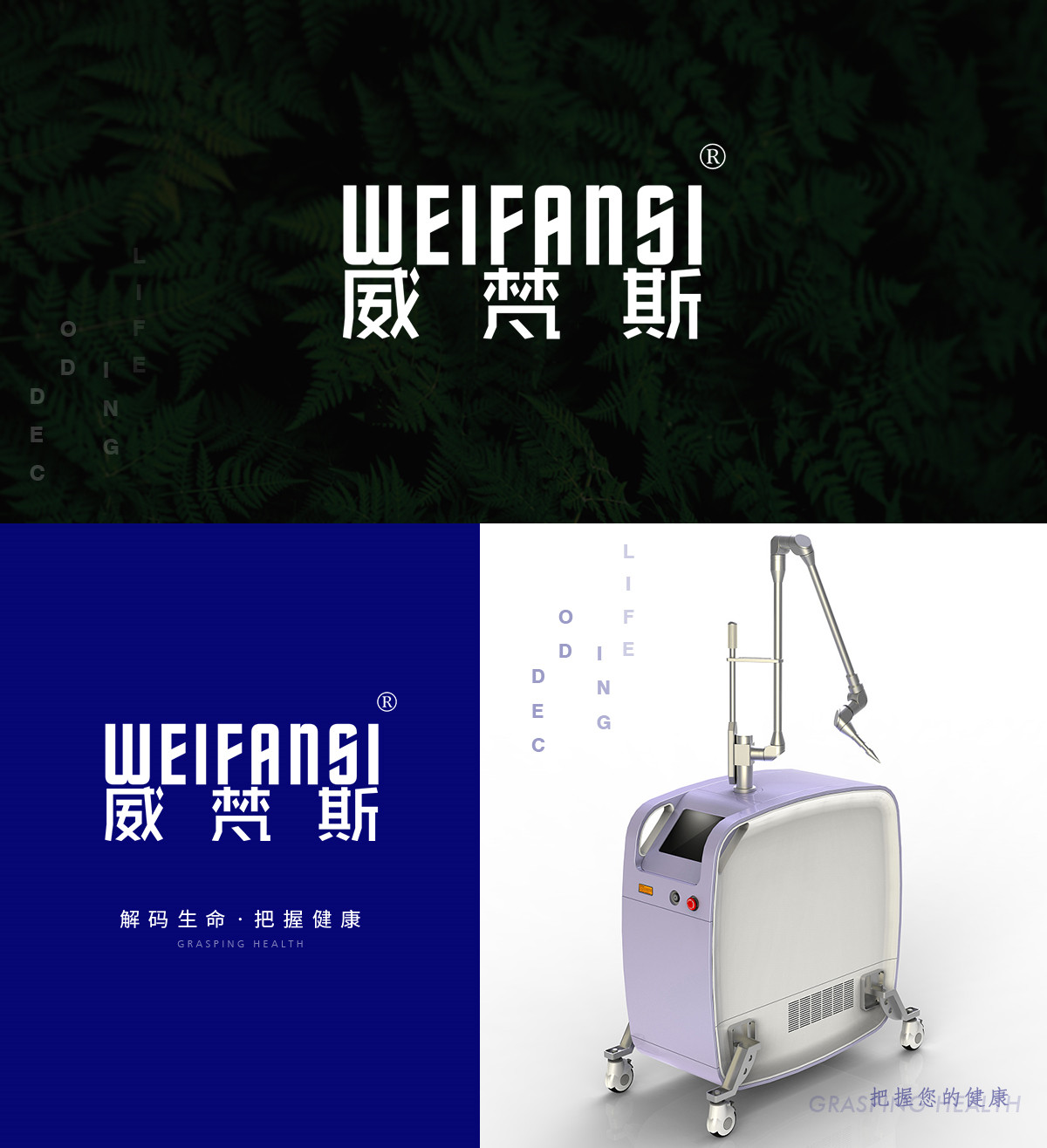 威梵斯 WEIFANSI