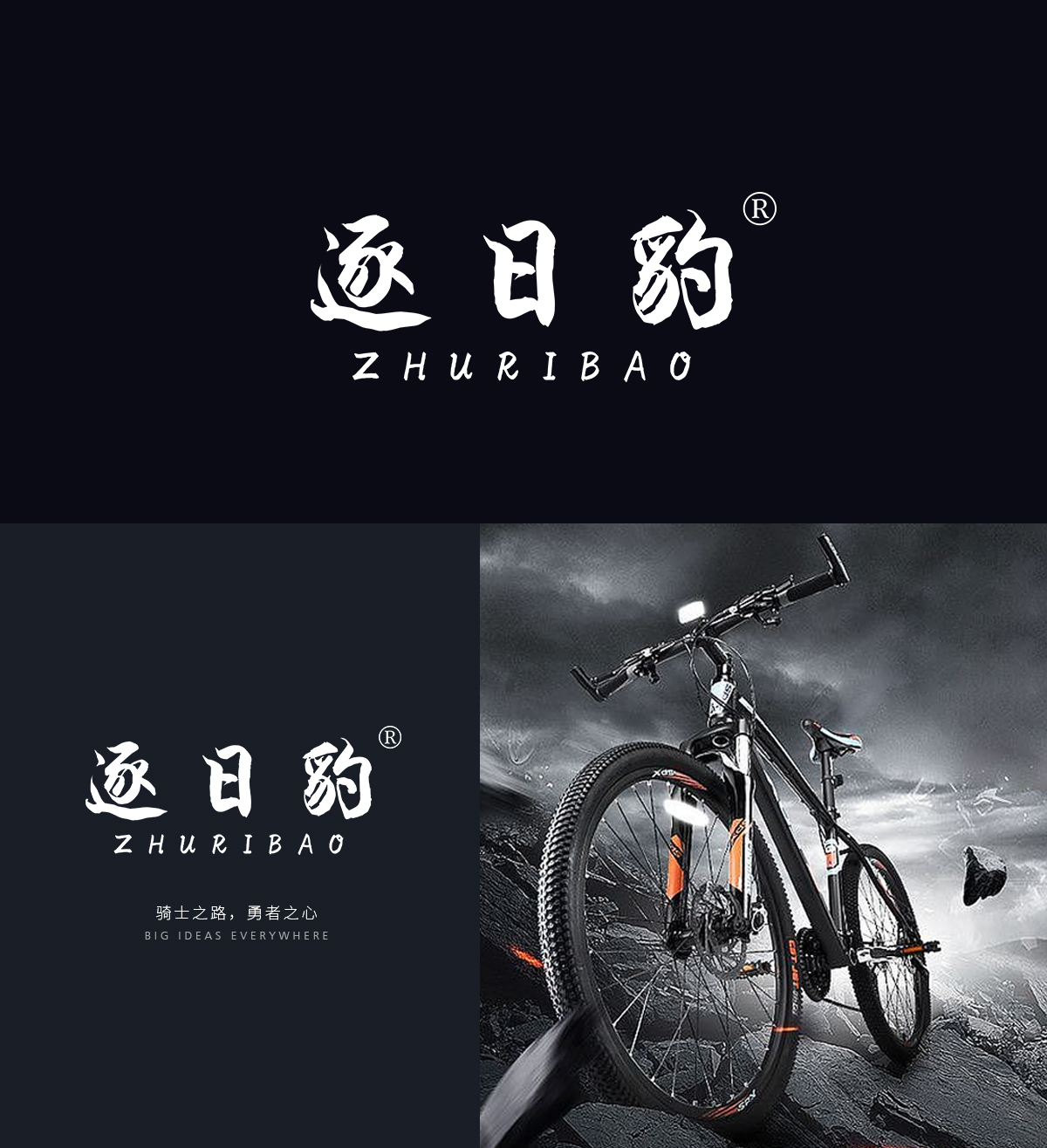 逐日豹 ZHURIBAO