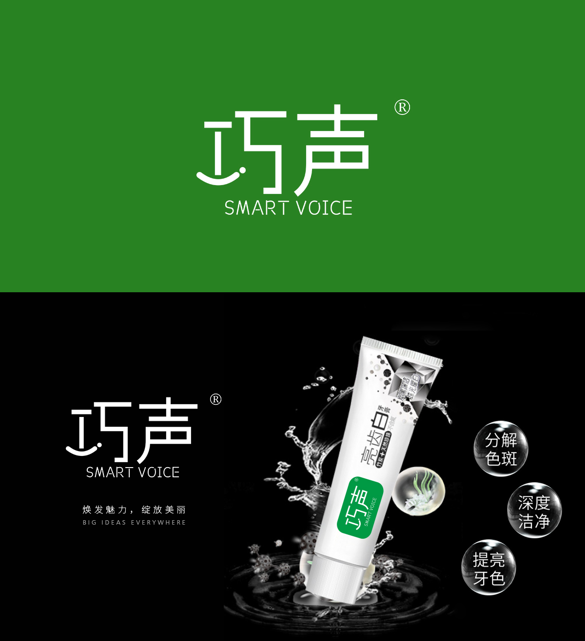 巧声 SMART VOICE