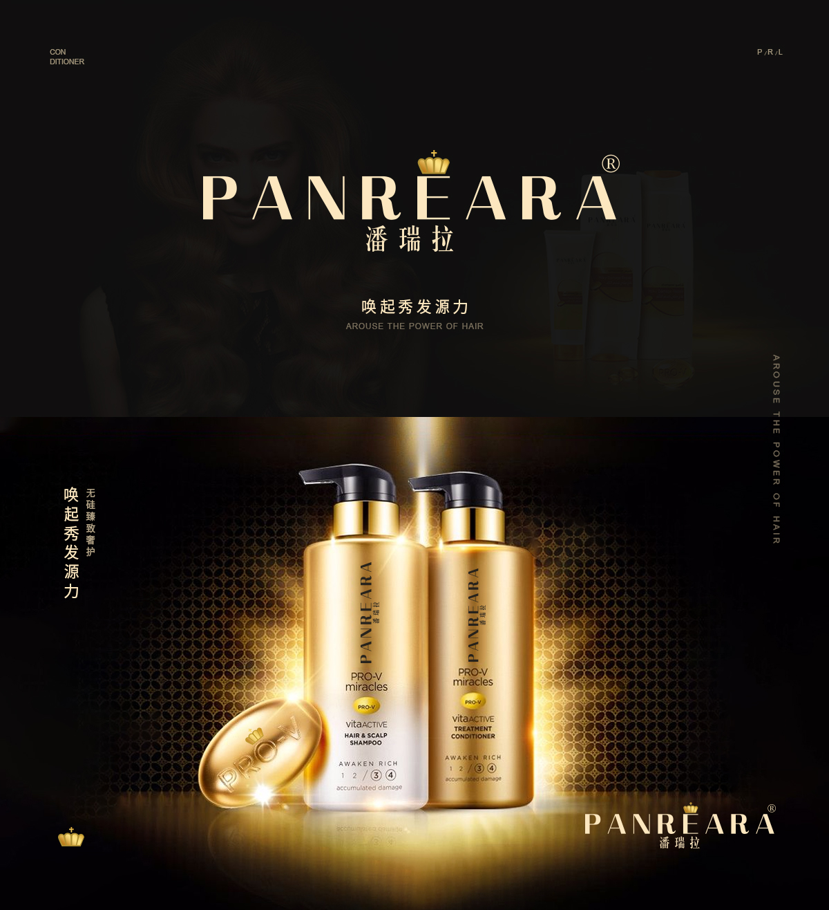 潘瑞拉 PANREARA