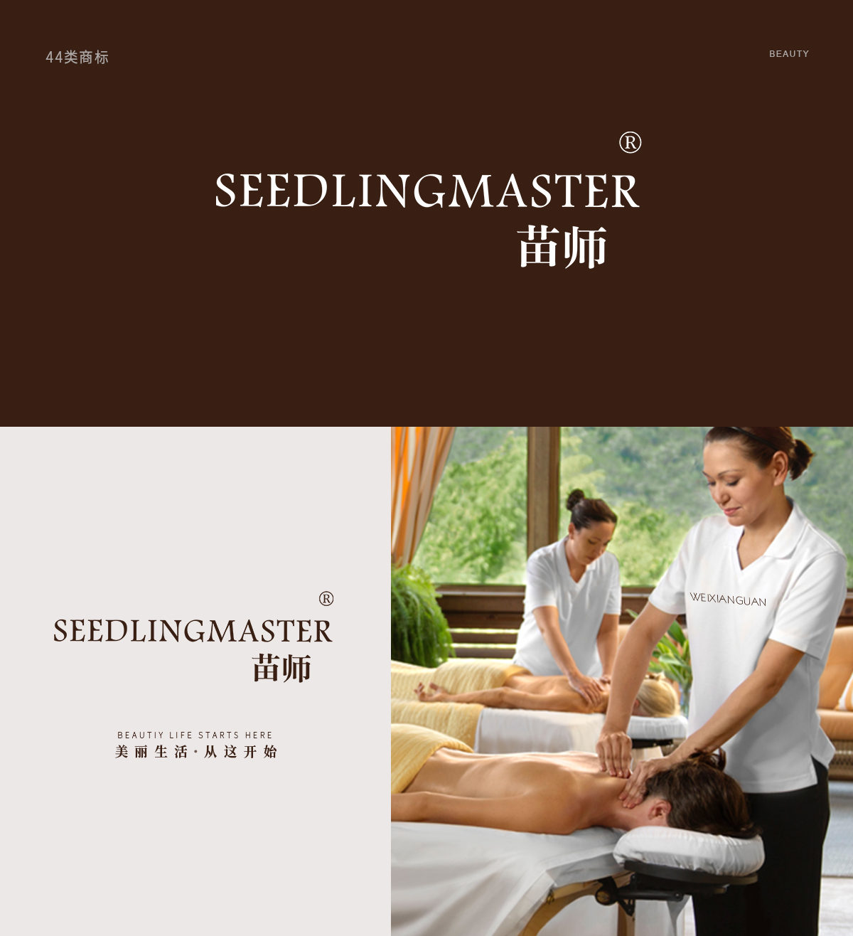 苗师  SEEDLINGMASTER