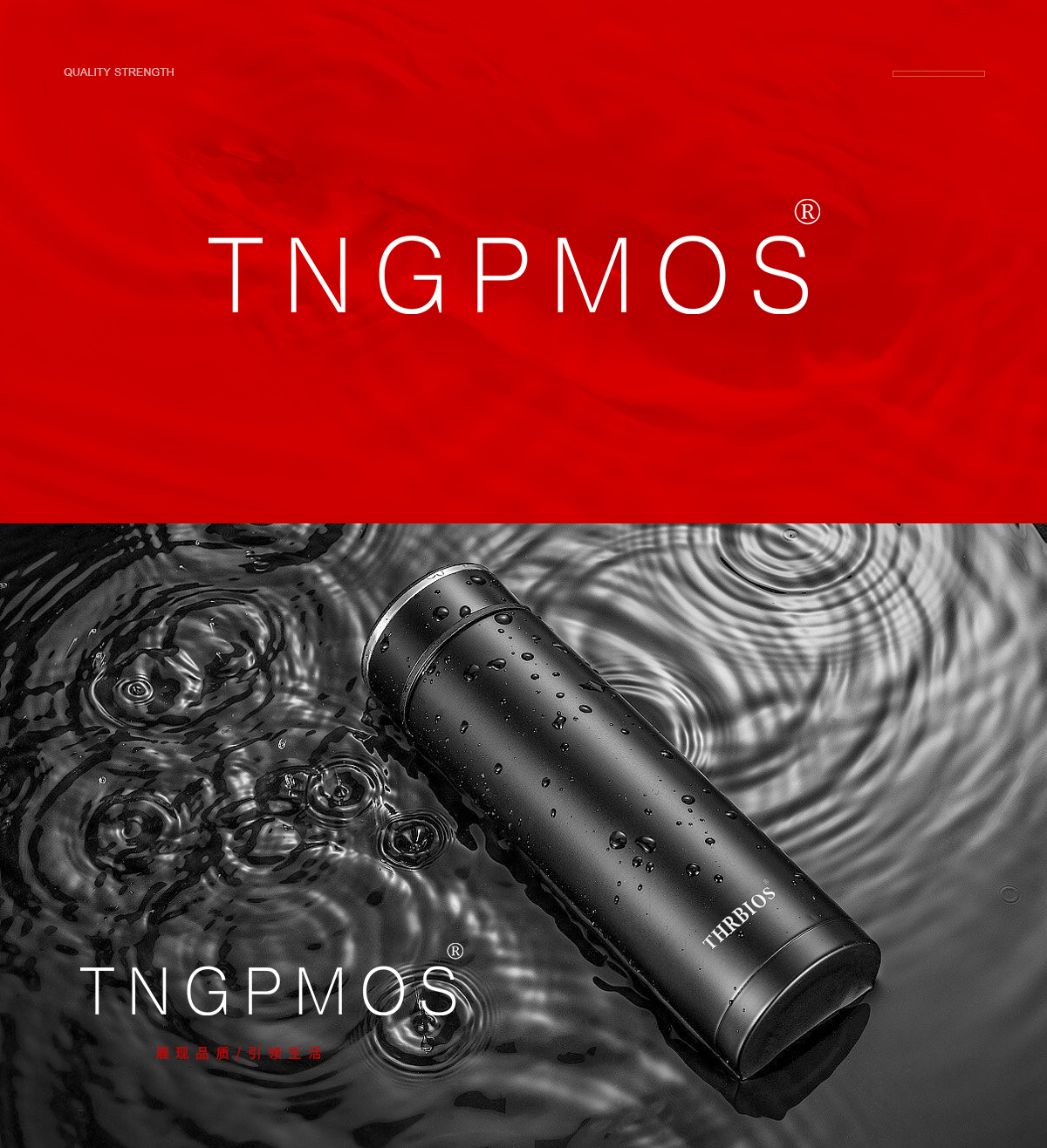 TNGPMOS