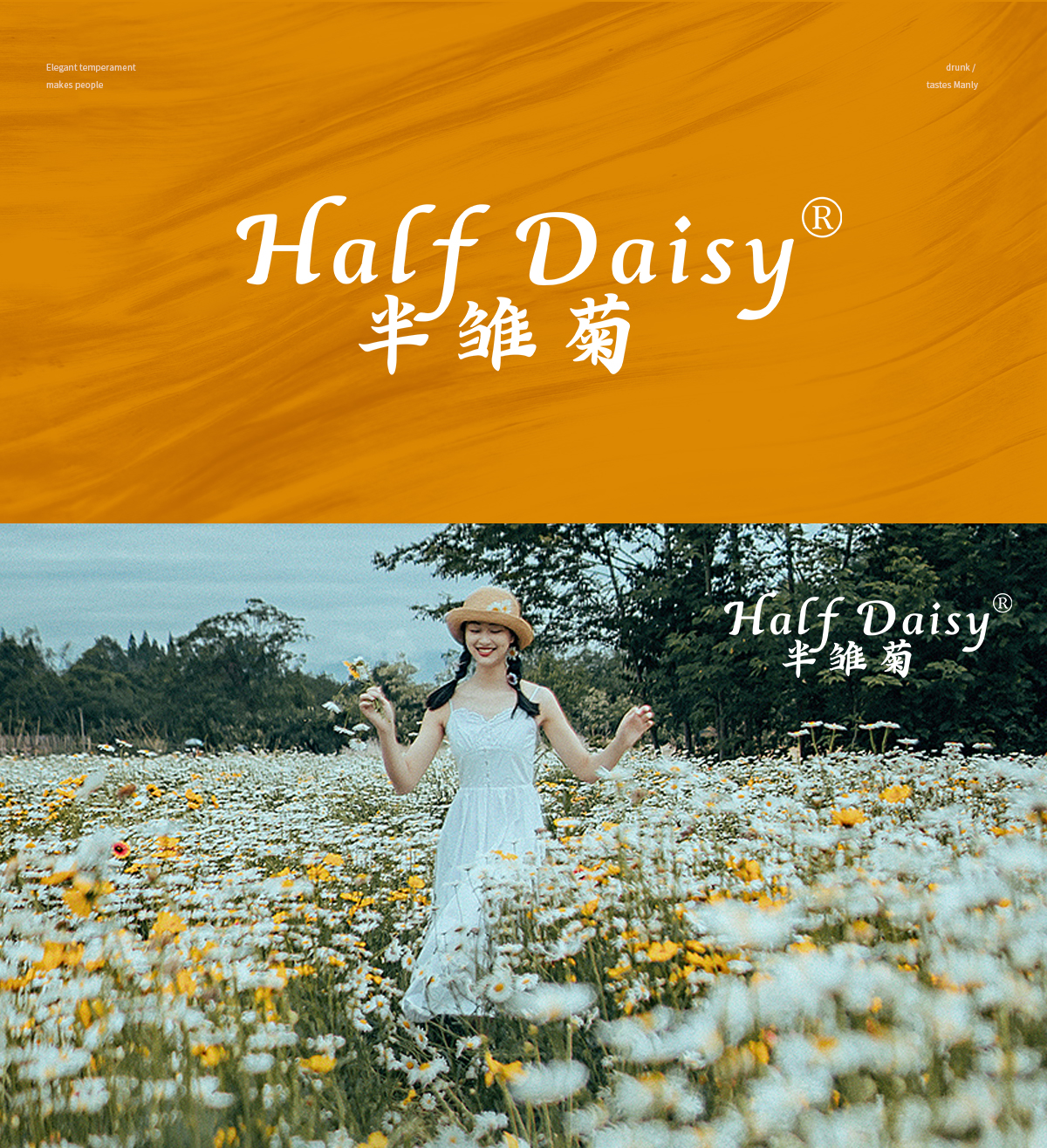 HALF DAISY 半雏菊