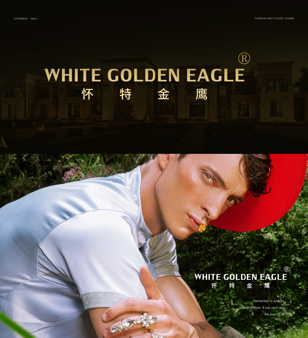 WHITE GOLDEN EAGLE 怀特金鹰