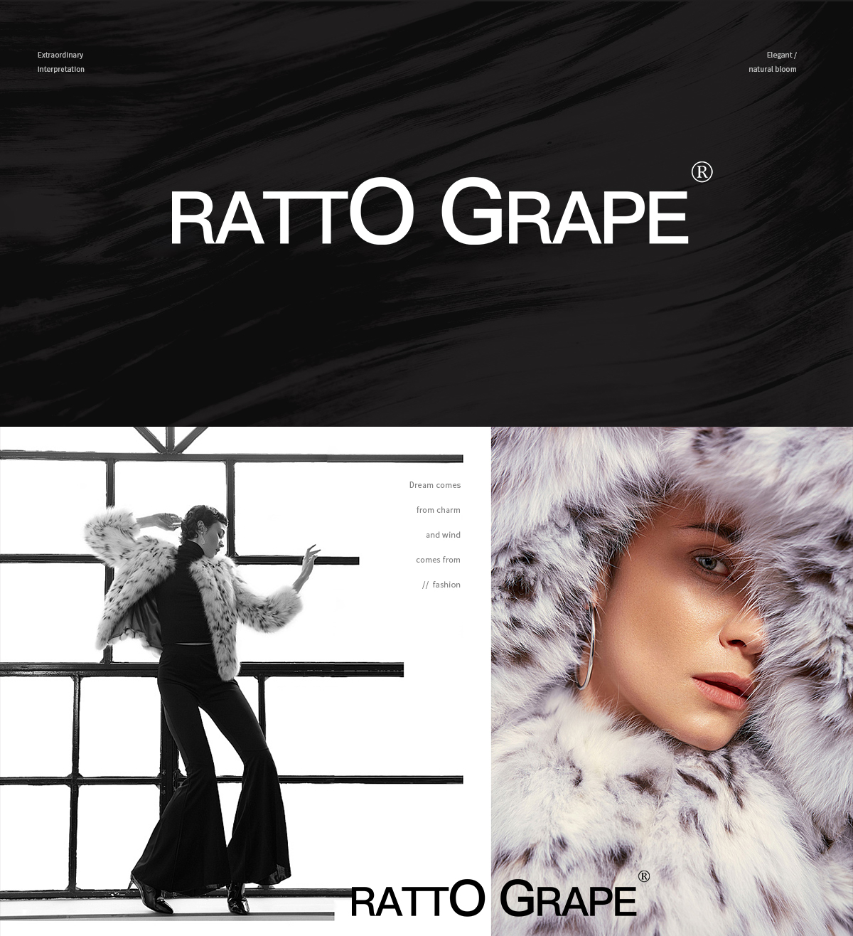 RATTO GRAPE