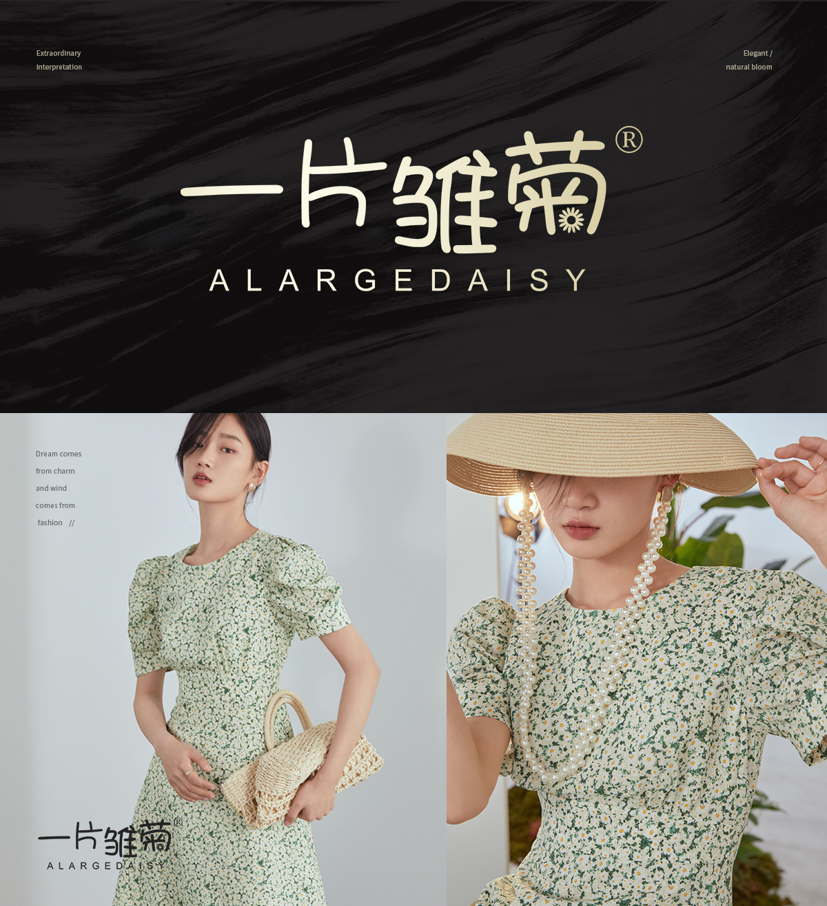 一片雏菊 ALARGEDAISY