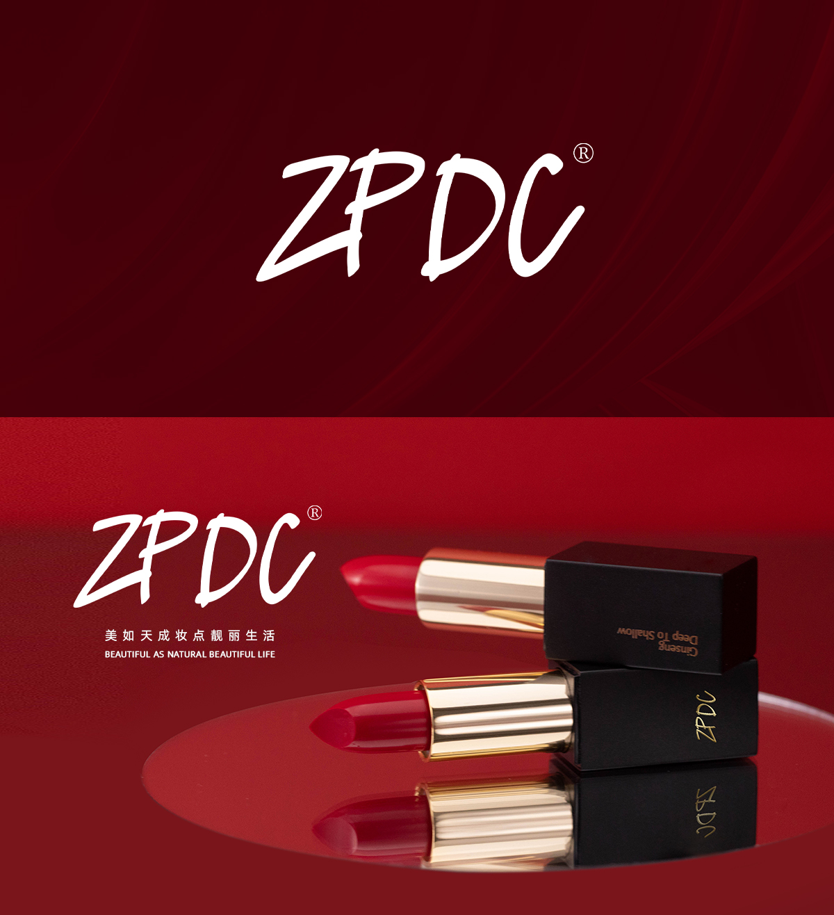 ZPDC