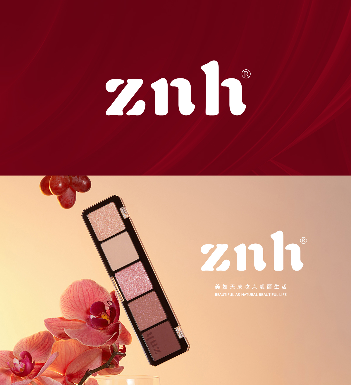 ZNH