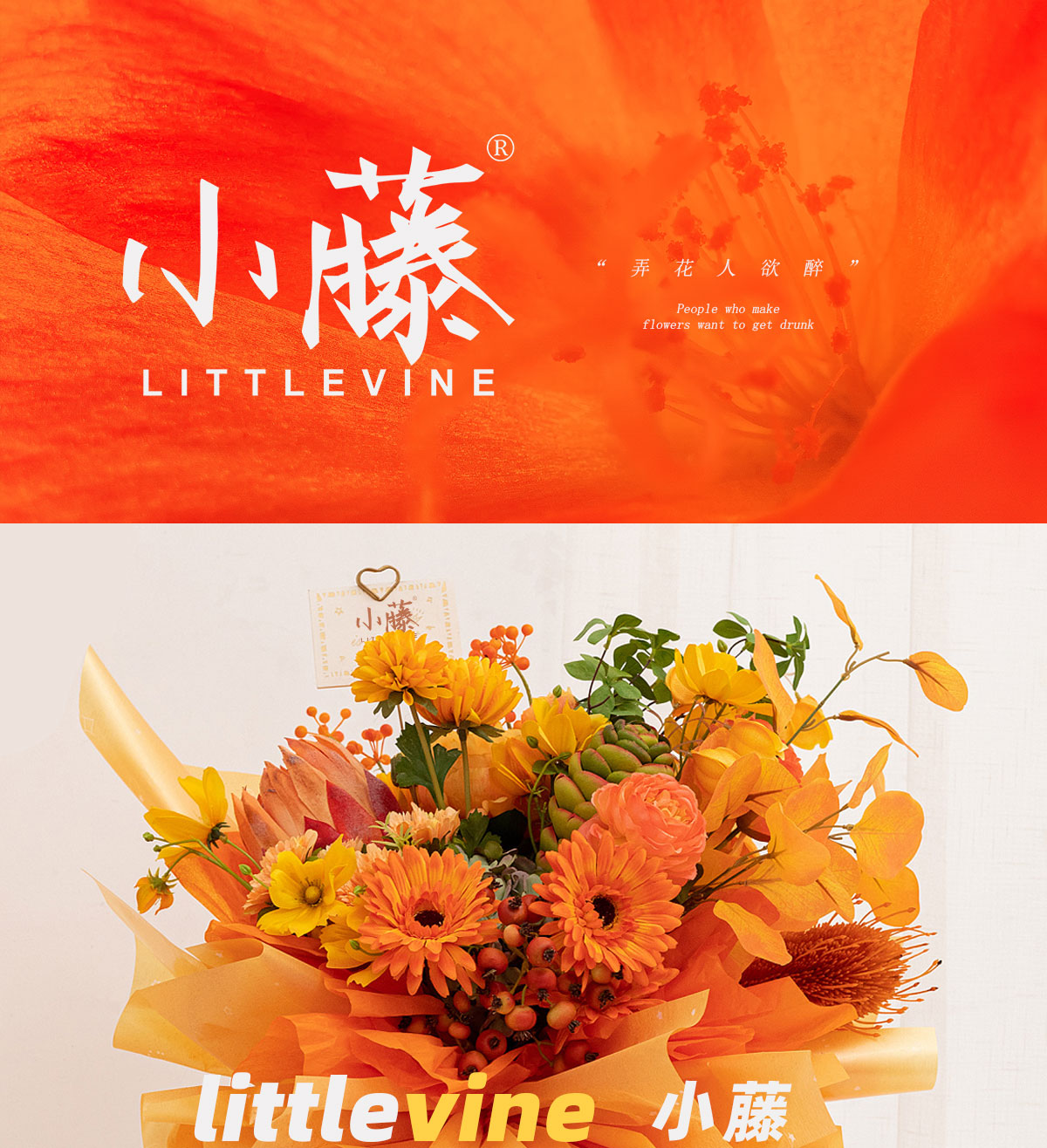 小藤 LITTLE VINE