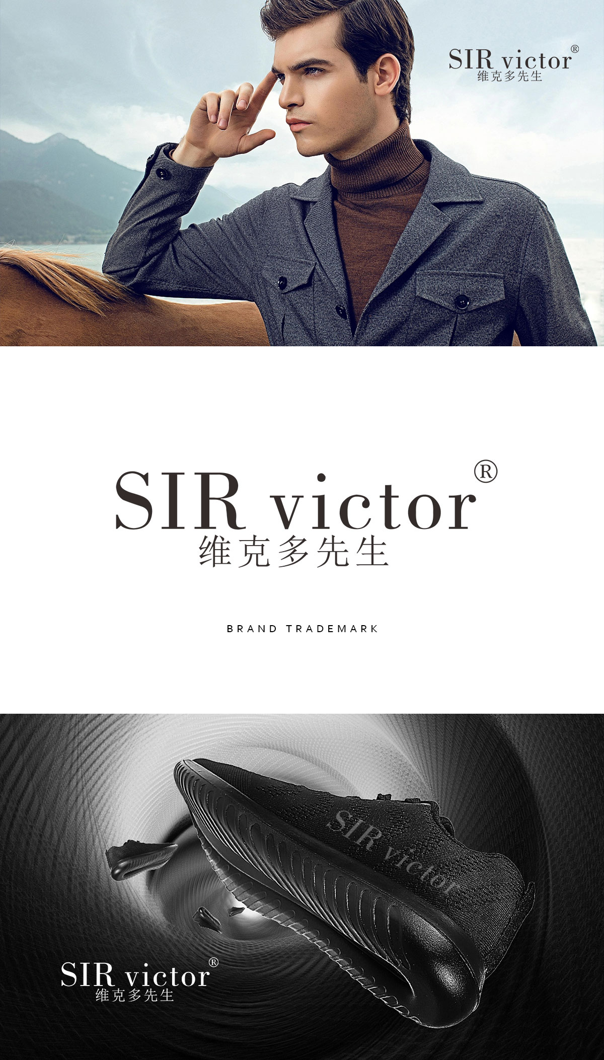 维克多先生 SIR VICTOR