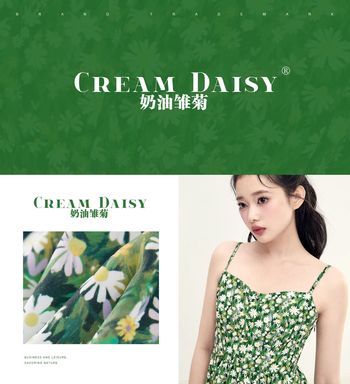 奶油雏菊 CREAM DAISY