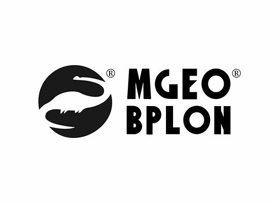 恐龙图形+MGEO BPLON