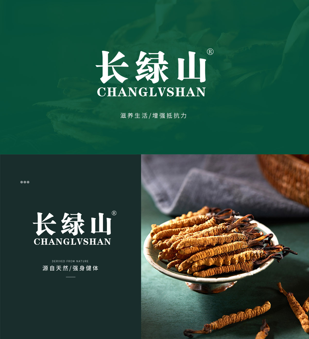 长绿山 CHANGLVSHAN