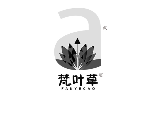 梵叶草