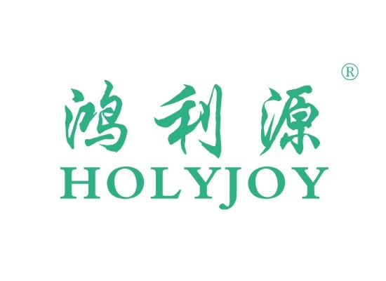 鸿利源 HOLYJOY