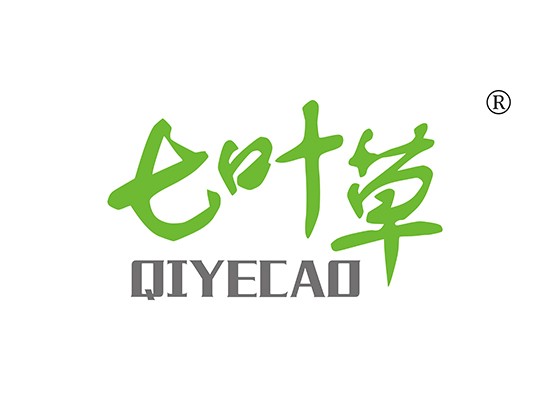 七叶草 QIYECAO