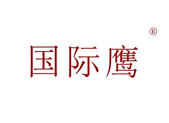 国际鹰