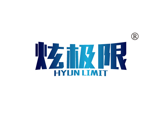 炫极限 HYUN LIMIT