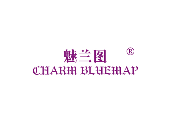 魅兰图 CHARM BLUEMAP