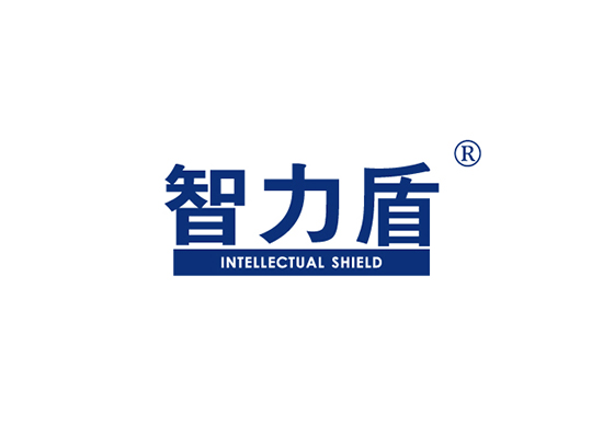 智力盾 INTELLECTUAL SHIELD