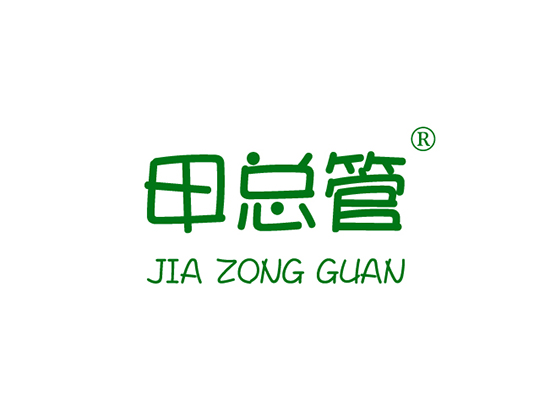 甲总管 JIAZONGGUAN