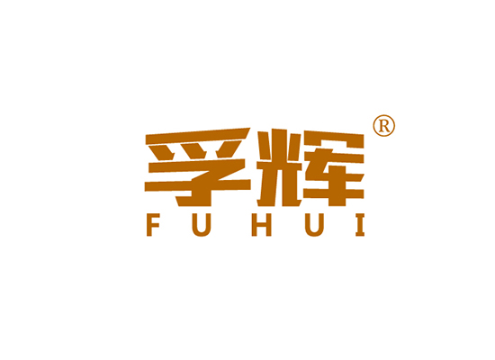 孚辉 FUHUI