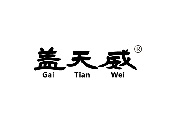 盖天威 GAITIANWEI