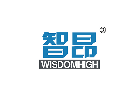 智昂 WISDOMHIGH