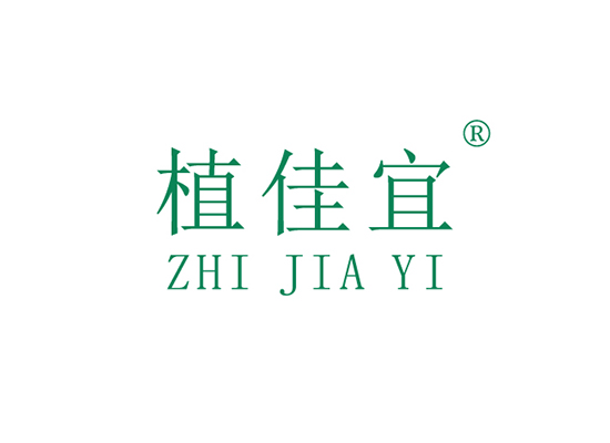 植佳宜 ZHIJIAYI