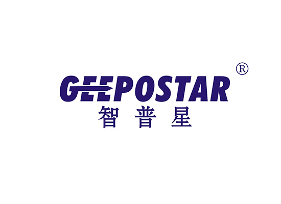 智普星 GEEPOSTAR