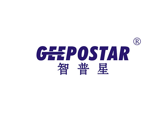 智普星 GEEPOSTAR