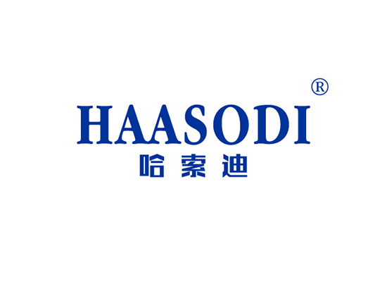 哈索迪 HAASODI