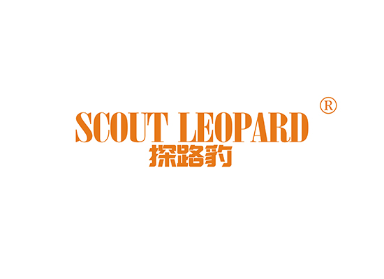 探路豹 SCOUT LEOPARD