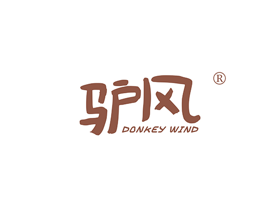 驴风 DONKEY WIND