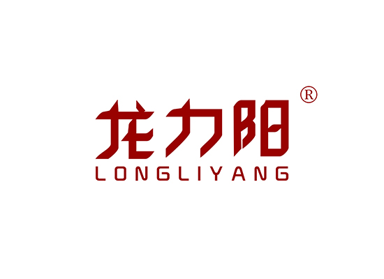 龙力阳 LONGLIYANG