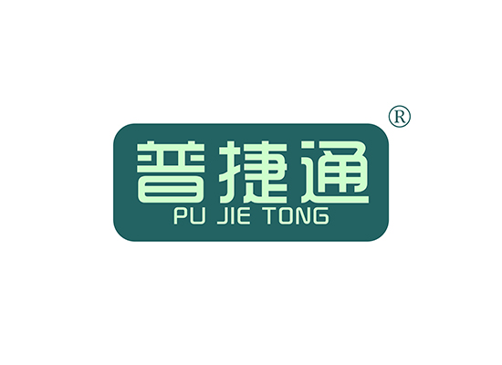 普捷通 PUJIETONG