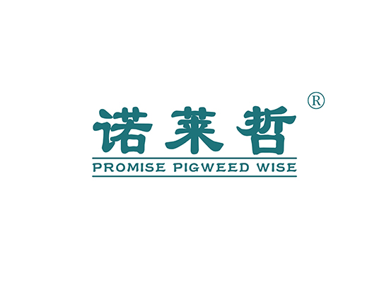 诺莱哲 PROMISE PIGWEED WISE