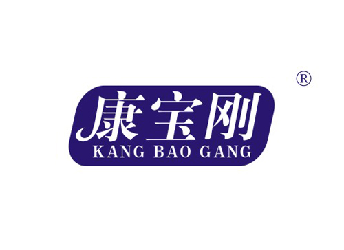 康宝刚 KANGBAOGANG