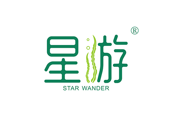 星游 STAR WANDER