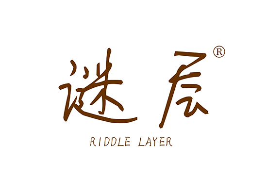 谜层 RIDDLE LAYER