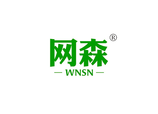 网森,WNSN