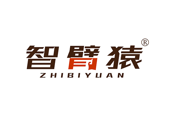 智臂猿 ZHIBIYUAN