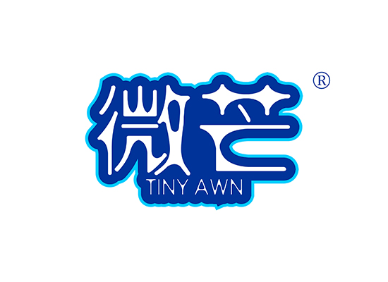 微芒 TINY AWN