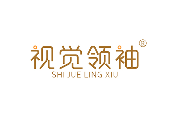 视觉领袖 SHIJUELINGXIU