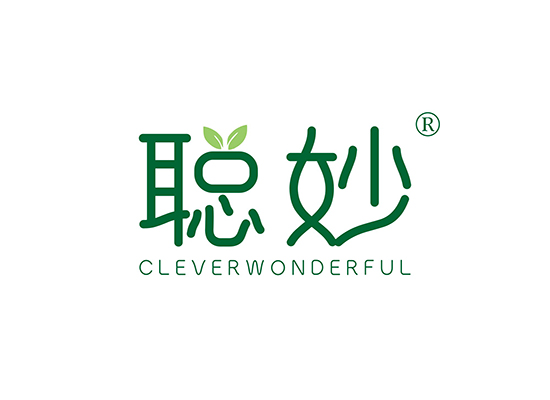 聪妙 CLEVER WONDERFUL