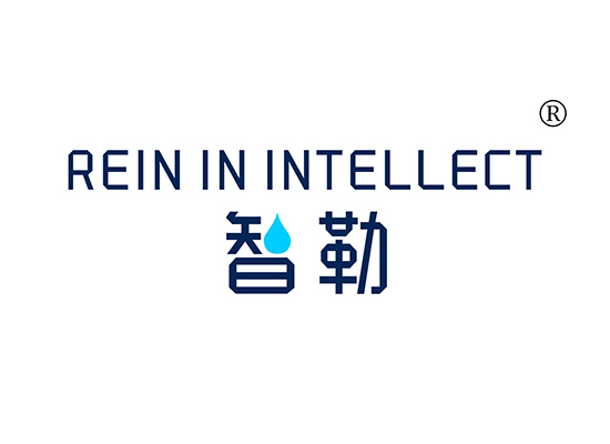 智勒 REIN IN INTELLECT