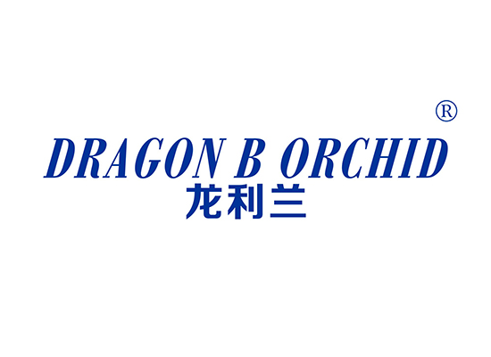 龙利兰 DRAGON B ORCHID